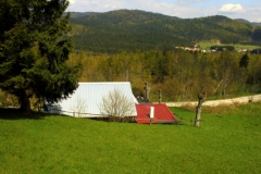 pogled